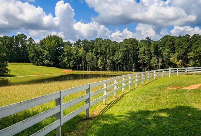 Fence